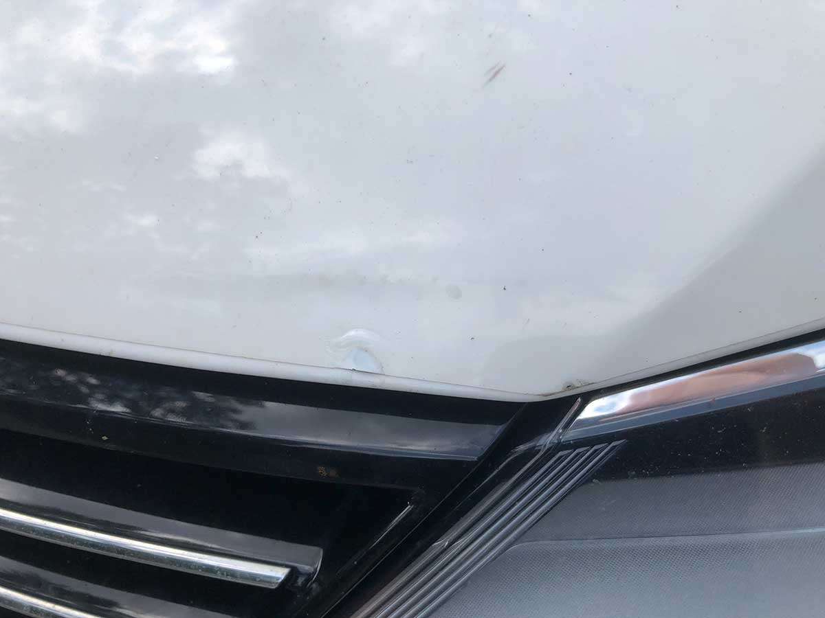 damaged paint protection film